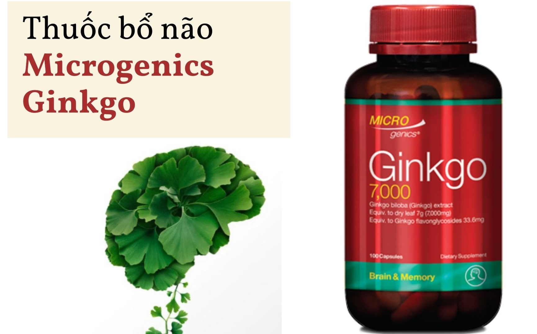 thuoc-bo-nao-microgenics-ginkgo