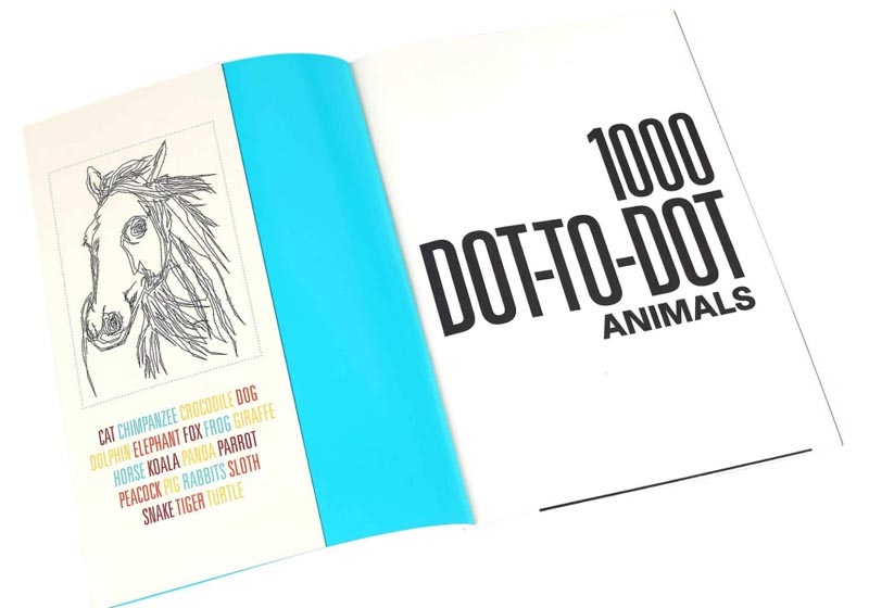 review-1000-dot-to-dot-animals