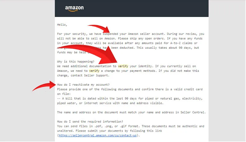 Amazon-bi-suspended