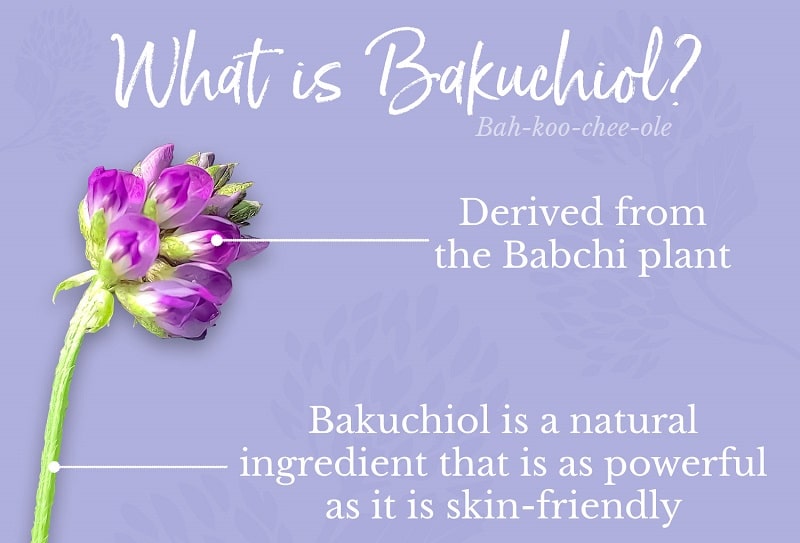 Bakuchiol là gì?