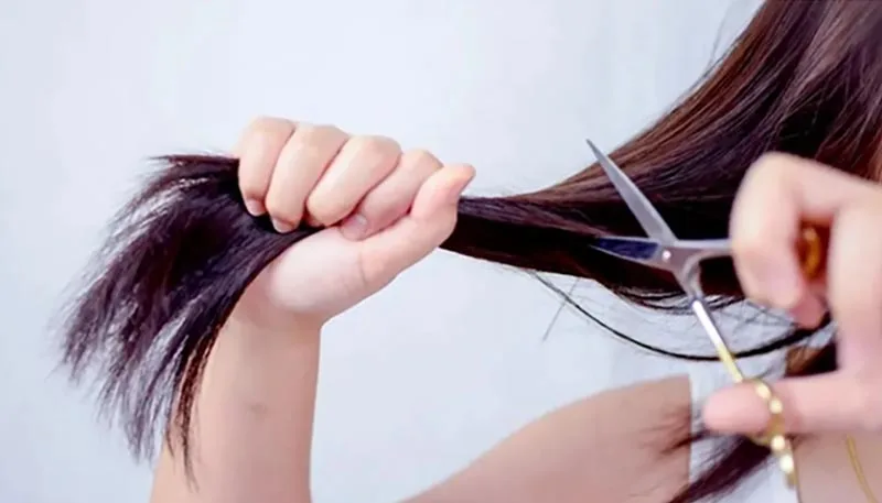 ngay-cat-toc-tu-van-mau-toc-va-lich-cat