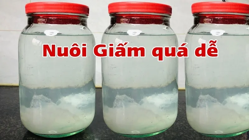 nuoi con giam bi chet