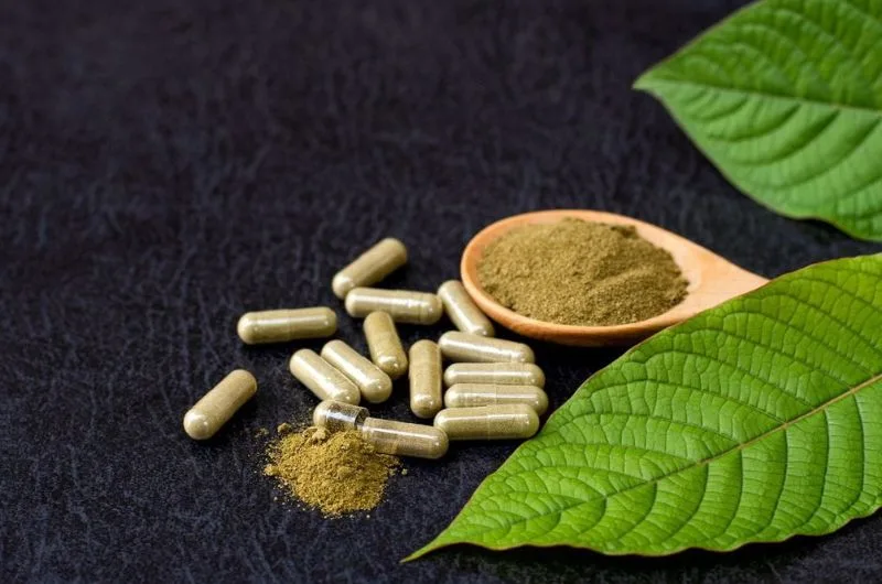 Kratom co bi cam o viet nam khong