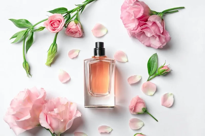 fragrantica la gi