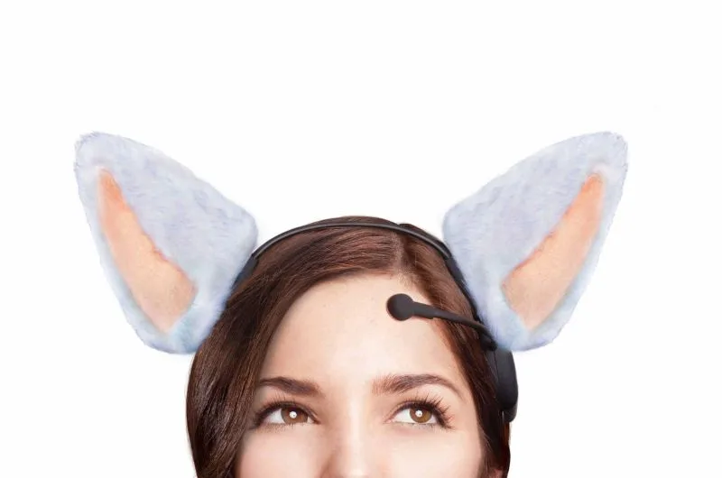 tai meo necomimi