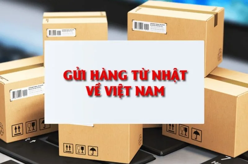 Gui giay tu nhat ve viet nam