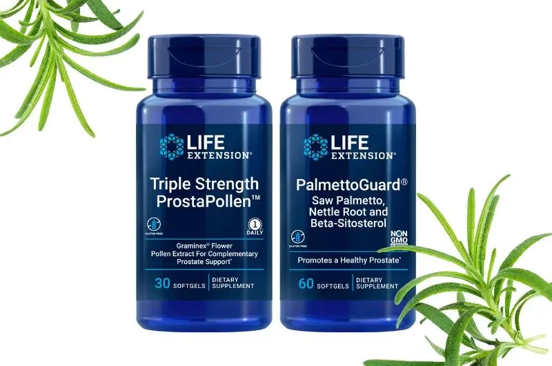 life extension