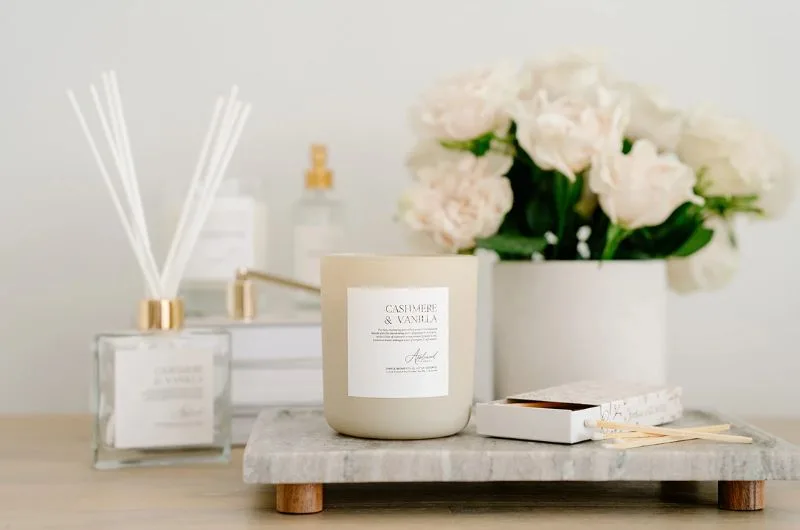 CandleScience la gi