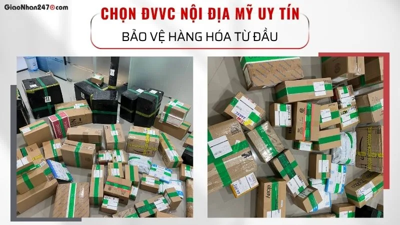 Đơn vị vận chuyển nội địa